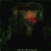 The Darkest Path by Lake Of Blood