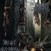 Sadistic Way Of Intense Perversion