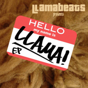Hello My Name Is Llama EP