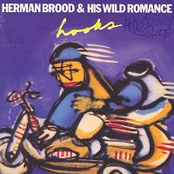 Saga Of New York by Herman Brood & His Wild Romance