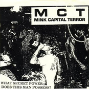 mink capital terror