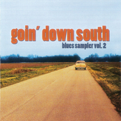 Goin' Down South (Blues Sampler Vol. 2)