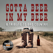 There I Ruined It: Gotta Beer in My Beer: A Tribute to Bro Country