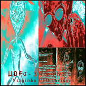 Varginha UFO Incident