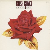 Fighting Chance by Rose Royce