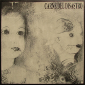 Carne Del Disastro