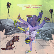 Fúria, Luz e Movimento