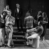 Tim Rogers & The Bamboos