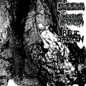 Malignant Hyperthermia / Public Defecation / Hypoferremia