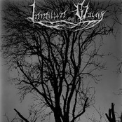 Die stille Sehnsucht