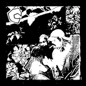 Borrowed Time / Poison Sting