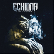 Catharsis by Echidna