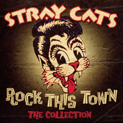 Crazy Mixed Up Kid by Stray Cats