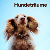 Hundeträume