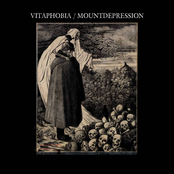 Vitaphobia / Mount Depression (Split)