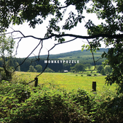 Monkeypuzzle