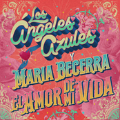 El Amor de Mi Vida - Single