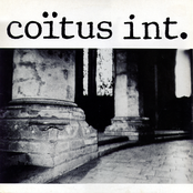 Coïtus Int.