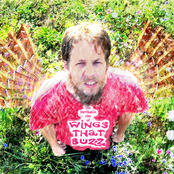 The Inevitable Rise of Wings That Buzz