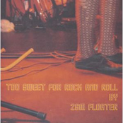 Too Sweet For Rock And Roll