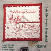 Elindultam szép hazámból