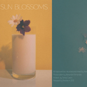 Sun Blossoms