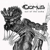 Out Of The Coma by Comus