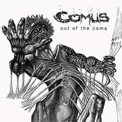 The Sacrifice by Comus