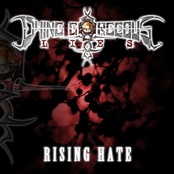 Rise Again by Dying Gorgeous Lies