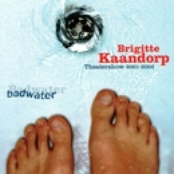 Heus Wel Weer Goed by Brigitte Kaandorp