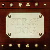 Stray Dog by Stray Dog