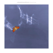 A Strangely Isolated Place | 2021 | Label Compilation