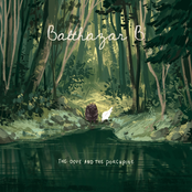 The Dove and the Porcupine