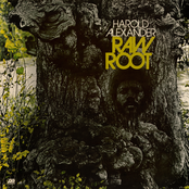 Raw root