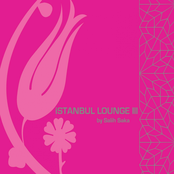 Istanbul Lounge, Vol. 3