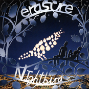 Sweet Surrender by Erasure