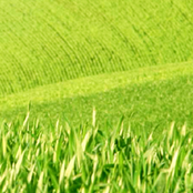 TU M'P3 Soundtracks For Images