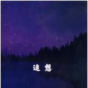 追想