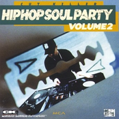 hip hop soul party, volume 2