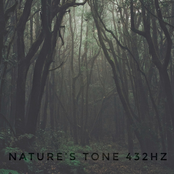 A Walk Through Nature 432hz
