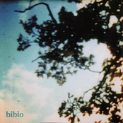 I'm Rewinding It... by Bibio