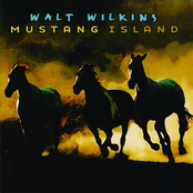 Walt Wilkins: Mustang Island