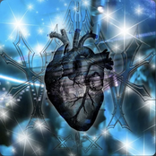 Pop My Heart
