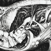 White Like Summer Sutures