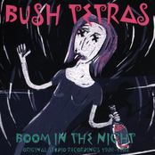 Things That Go Boom In The Night by Bush Tetras