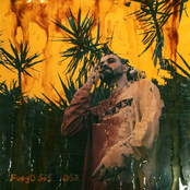 FuegO SuS