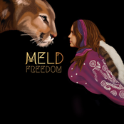 Meld: Freedom