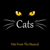 Cats (Hits from the Musical)