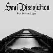 Pale Distant Light Album Picture