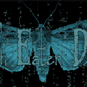 moth eaten dream